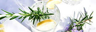 Especias y botánicos para tu gin tonic - DISEVIL