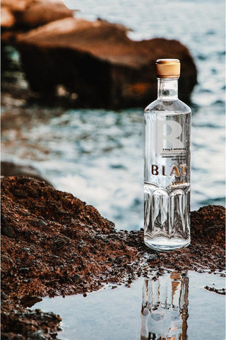 Vodka Blat - DISEVIL
